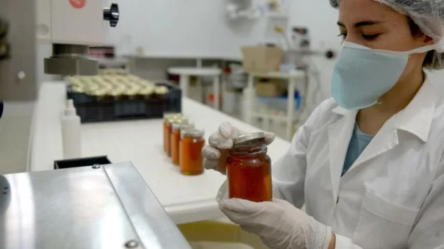 Agricultura creó el Registro Nacional de MiPyMEs Agroalimentarias para estimular el acceso a las políticas públicas