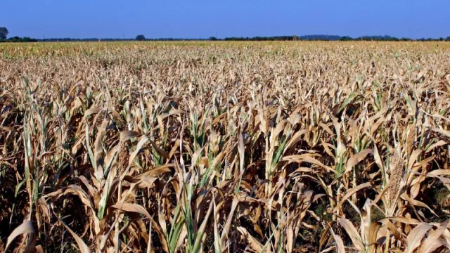 El gasto público creció más que la inflación y los ingresos: ¿corre riesgo la meta de déficit con el FMI?