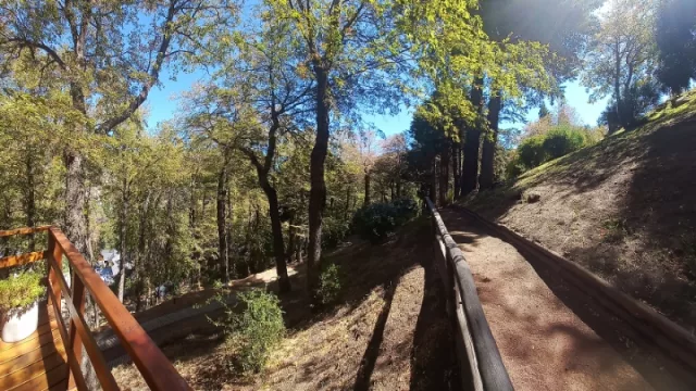 Congreso Forestal en Mendoza con plurieventos paralelos (más de 20 charlas y actividades sustentables)