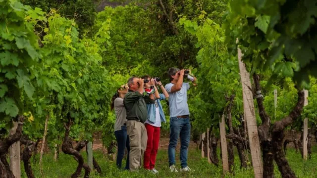 ¿Es del 10% el aporte del turismo al producto bruto? Buscarán la respuesta en la demanda de los visitantes (crearán una cuenta satélite)