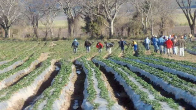 Cuatro días de capacitación sobre bioeconomía en la agroindustria (6° jornadas de Agregado de Valor)