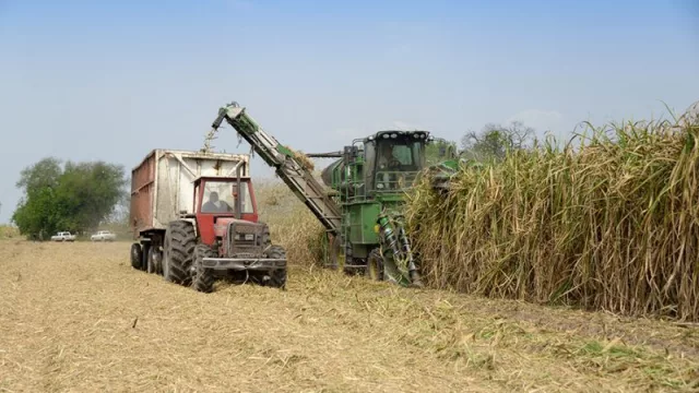 Cañeros de Jujuy y Salta se reúnen hoy con el objetivo de unificar las acciones y tomar medidas