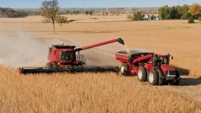 Prograno y sus 20 años: una institución que logró voz y peso propio (tiempo de balance)