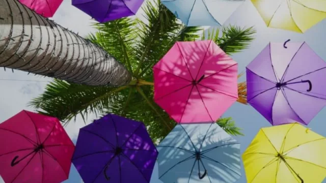Doral: its sky is filled with umbrellas (the Instagram boom)