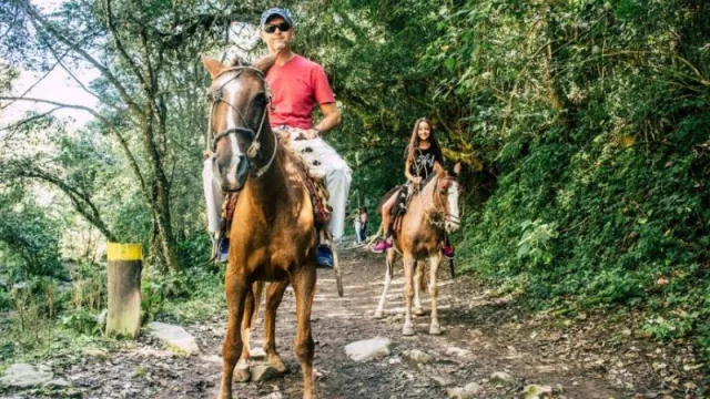 Con el PreViaje 4, ¡Todos quieren venir a Salta! (la provincia lidera las preferencias de los compradores)