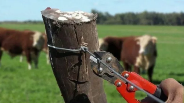Mientras esperan por la mesa de seguridad, el campo analiza medidas (por los robos y otros hechos denunciados)