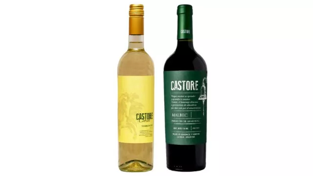 Castore Wines, los vinos de valles riojanos (un proyecto de más de 19 años de la mano de Collovatti-Vera Barros)