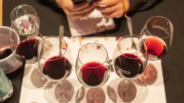 Calchaquí Wine Tasting reunirá a los protagonistas de la vitivinicultura del Valle Calchaquí (mañana es el día)