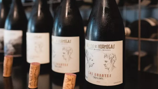 Altos Las Hormigas, el Malbec que tiene 100 puntos de Tim Atkin