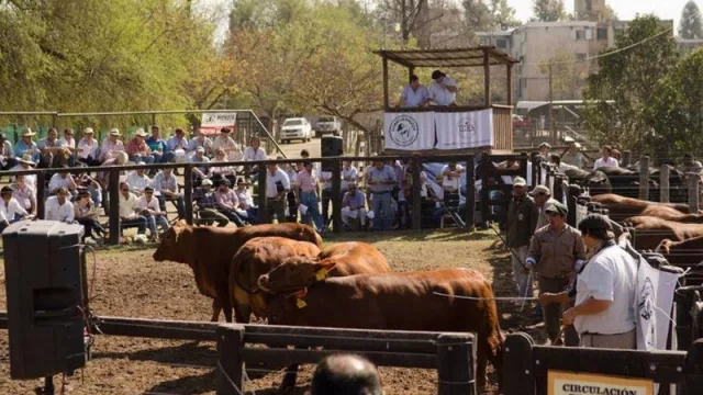 Los ruralistas ya hablan de la Expo Rural salteña (será la edición 79)