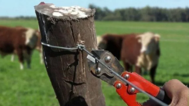 El campo recuerda que está pendiente la conformación de una mesa (de seguridad) con el gobierno