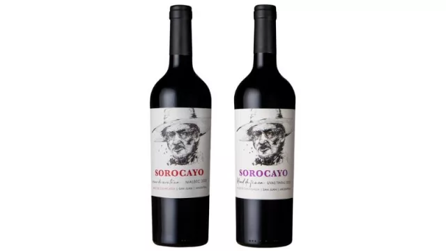 Sorocayo, una finca modelo con vinos de montaña en San Juan