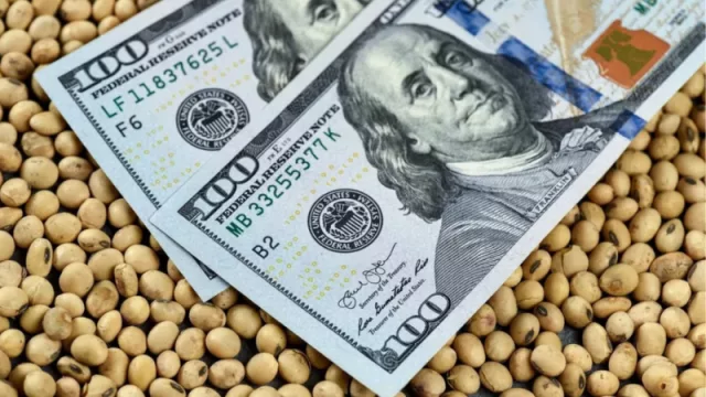 El campo salteño rechaza el dólar agro y las últimas medidas económicas (porque “son parches, frazada corta”)