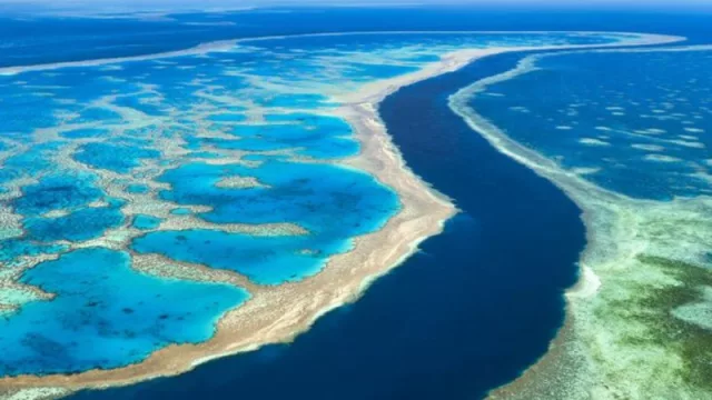 La Florida: la comunidad empresarial y ambientalista está en alerta en Miami (la mitad de la gran barrera de coral sufre por el impacto del calor)