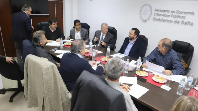 Para la Puna salteña se arma un plan integral para su desarrollo (cambios que impone la minería)