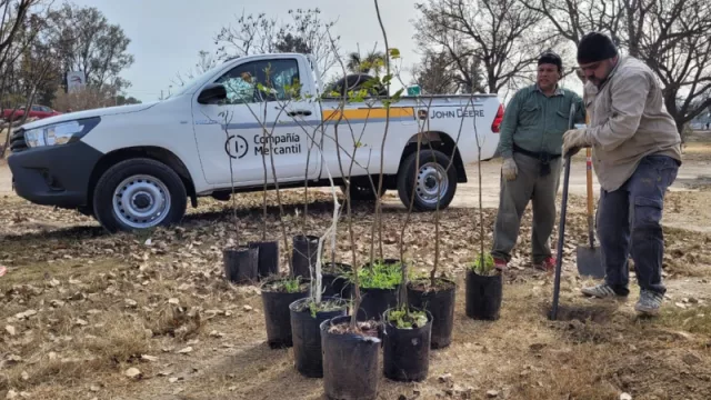 Cien árboles se plantaron en la ciudad de Salta (campaña realizada con John Deere)
