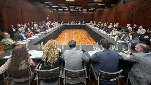 Las Provincias otorgarán las licencias del cáñamo y cannabis medicinal (se busca regular esa actividad económica)