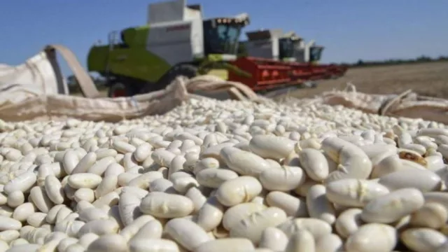 Salta exportó US$ 466.1 millones en el primer semestre, cayendo 21,2% (la baja también se dio en la región)