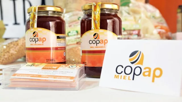Cooperativa Chaqueña exportará miel orgánica a Alemania (producción certificada por organizaciones internacionales)