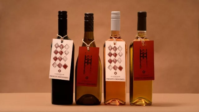 Un compromiso con el pueblo wichi (bodega El Porvenir puso en marcha Proyecto Comunidades)