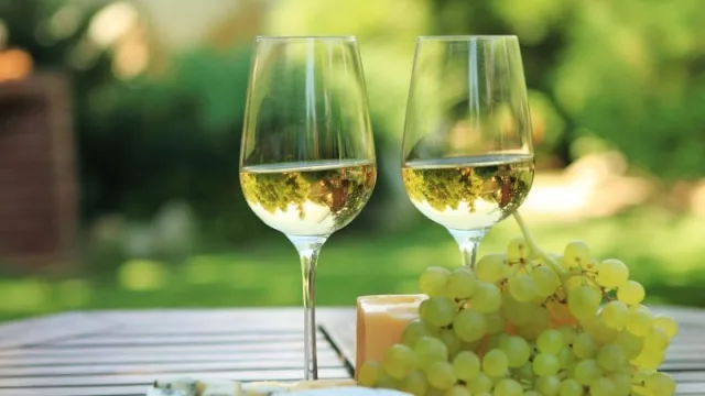 Se acerca la semana del torrontés de altura en Salta (con actividades en Capital y Cafayate)