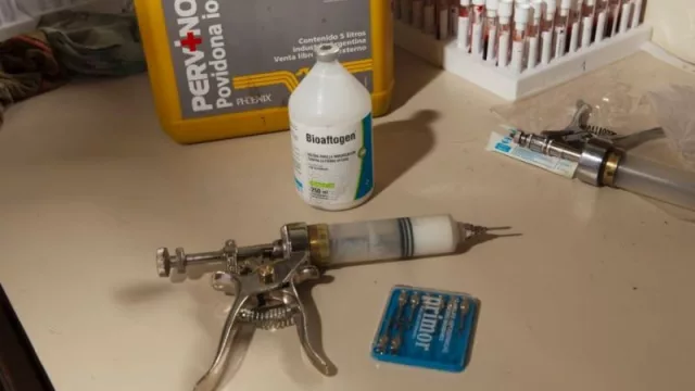 El lunes arranca la segunda campaña de vacunación antiaftosa 2023