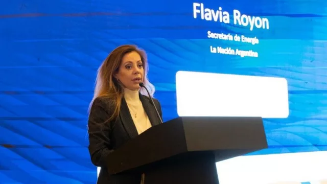 Flavia Royon: “Las leyes de GNL y de Hidrógeno son claves para el desarrollo del país”