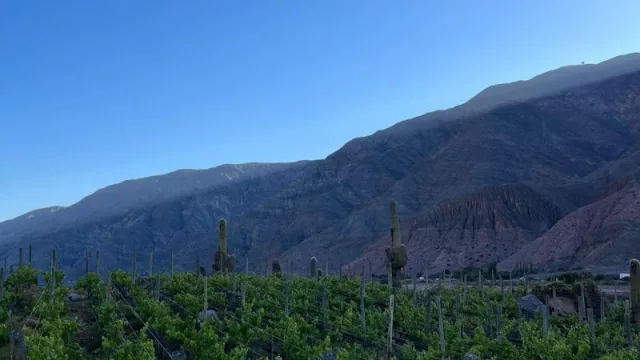 Amanecer Andino: buen vino en la altura de la Quebrada de Humahuaca (un viaje de más 2.200 m de alto)