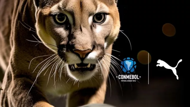 Histórico: Conmebol cambia la pelota de todos los partidos de clubes y selecciones sudamericanas (golazo para Puma)