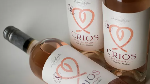 Susana Balbo afianza su compromiso con la campaña “Octubre rosa”