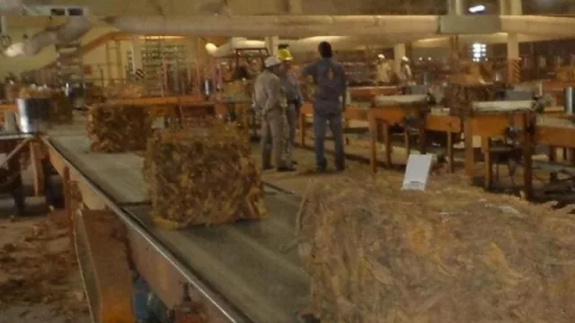 El dólar agro también para el tabaco (el sector fue incorporado al Programa de Incremento Exportador)