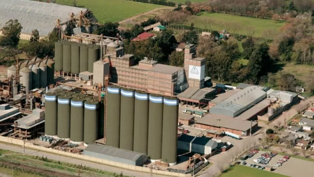 Molinos Cañuelas logró reprogramar los plazos de su concurso por el contexto económico