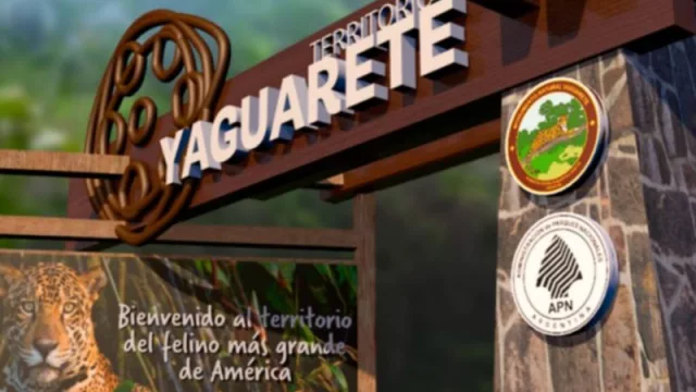 “Territorio yaguareté”, en el Parque Nacional Iguazú (un sitio dedicado a concientizar sobre la importancia de la conservación del felino)