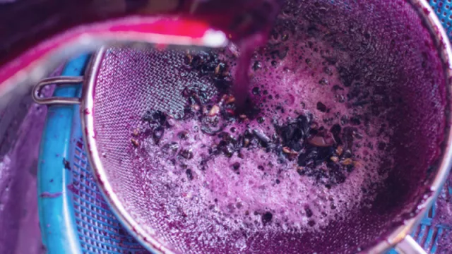 Tensión por retenciones y derechos a la exportación en la industria vitivinícola