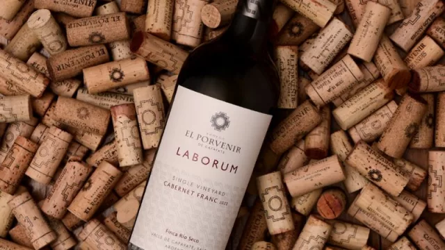 El Porvenir brinda por un nuevo lanzamiento: Laborum Single Vineyard Cabernet Franc 2022 (edición limitada)
