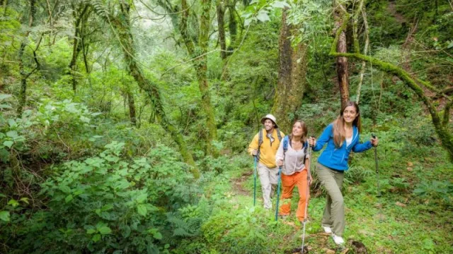 ¿Ya planificaste tu fin de semana? Te armamos una agenda para que disfrutes Salta de punta a punta