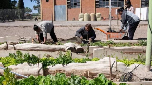 HidroCultiva, el proyecto de triple impacto que crece en Mendoza