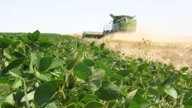 Después de un año desastroso, el campo salteño espera la segunda mejor campaña de la historia