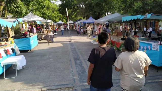 ¡Lo confirmaron! Los paseos artesanales funcionarán todos los fines de semana durante el verano