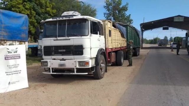 Los trámites de importación y exportación de vegetales hacia y desde Bolivia ahora serán electrónicos