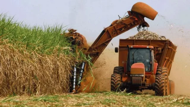 Alerta del sector de los biocombustibles por el texto de la Ley Ómnibus que debatirá diputados