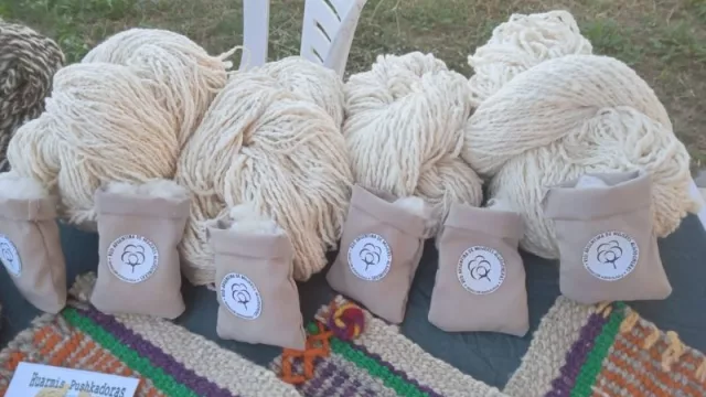 Red Argentina de Mujeres Algodoneras (el proyecto agroecológico que busca fortalecer las oportunidades de ingreso económico)