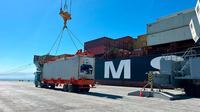 Tucumán utilizó el paso terrestre de San Francisco para enviar 24 toneladas de arándanos a Chile (de exportación hacia Canadá)