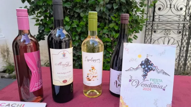 Cachi presentó la segunda Fiesta de la Vendimia del Alto Valle Calchaquí (¡Sé parte de esta celebración!)