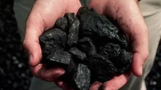 Buscan que más empresas puedan sumarse a exportar carbón vegetal (producido en Salta)