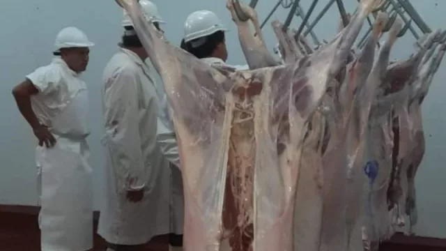 Chicoana tiene el único frigorífico de la Provincia habilitado para la faena de Pequeños Rumiantes