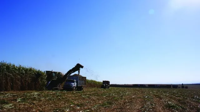 La zafra azucarera tucumana se encuentra en plena actividad (ya son 4 los ingenios que producen caña molida y azúcar físico)