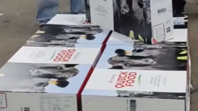 ¡Histórico primer paso! Argentina exportó carne libre de deforestación a la Unión Europea