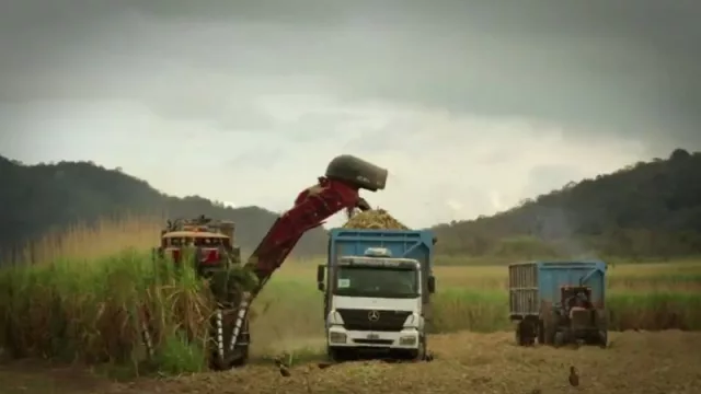 Avanza la campaña azucarera tucumana 2024 (con 12 ingenios en pleno funcionamiento)