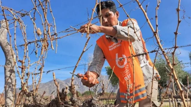 Bahco, marca de herramientas profesionales, realizará en Cafayate un torneo de poda de la vid